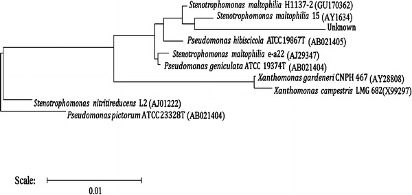 Fig. 3