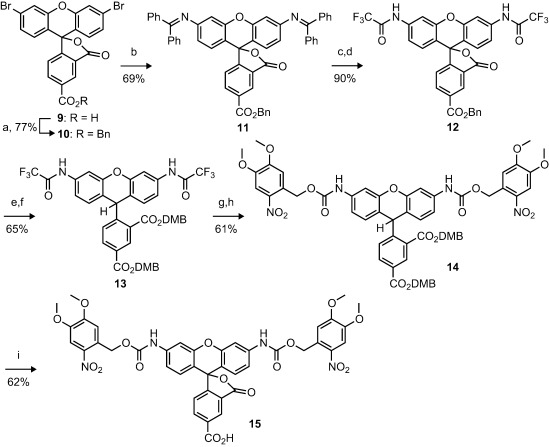 Scheme 2