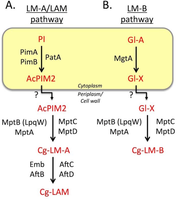 FIGURE 1.