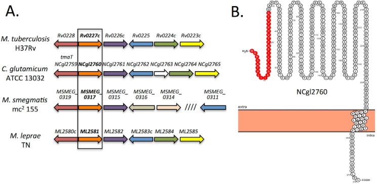 FIGURE 2.