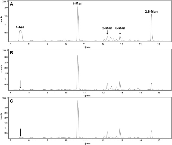 FIGURE 5.