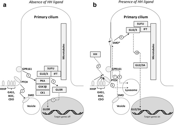 Fig. 2