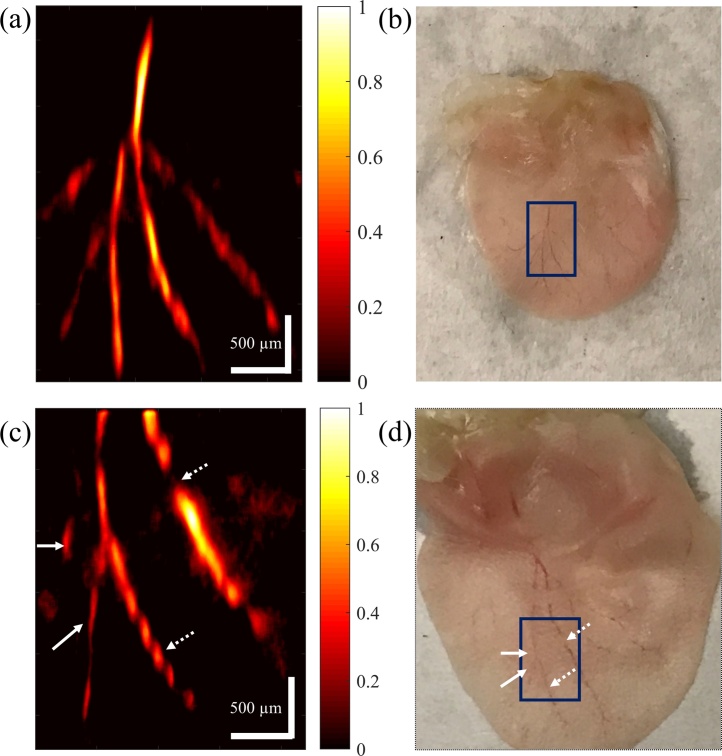 Fig. 7