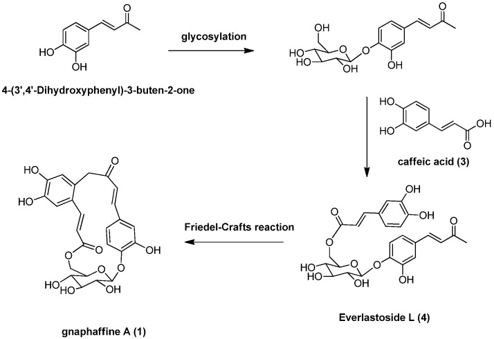 Scheme 1