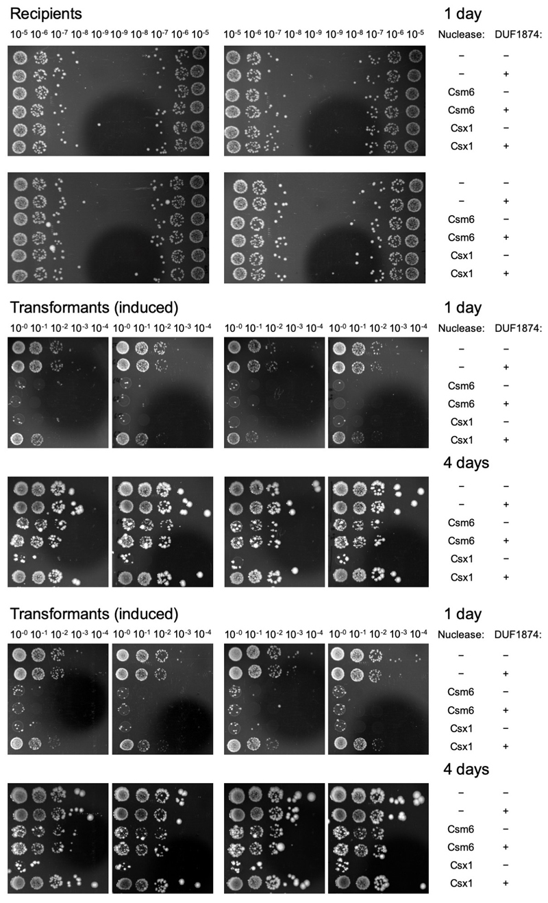 Extended Data Figure 3