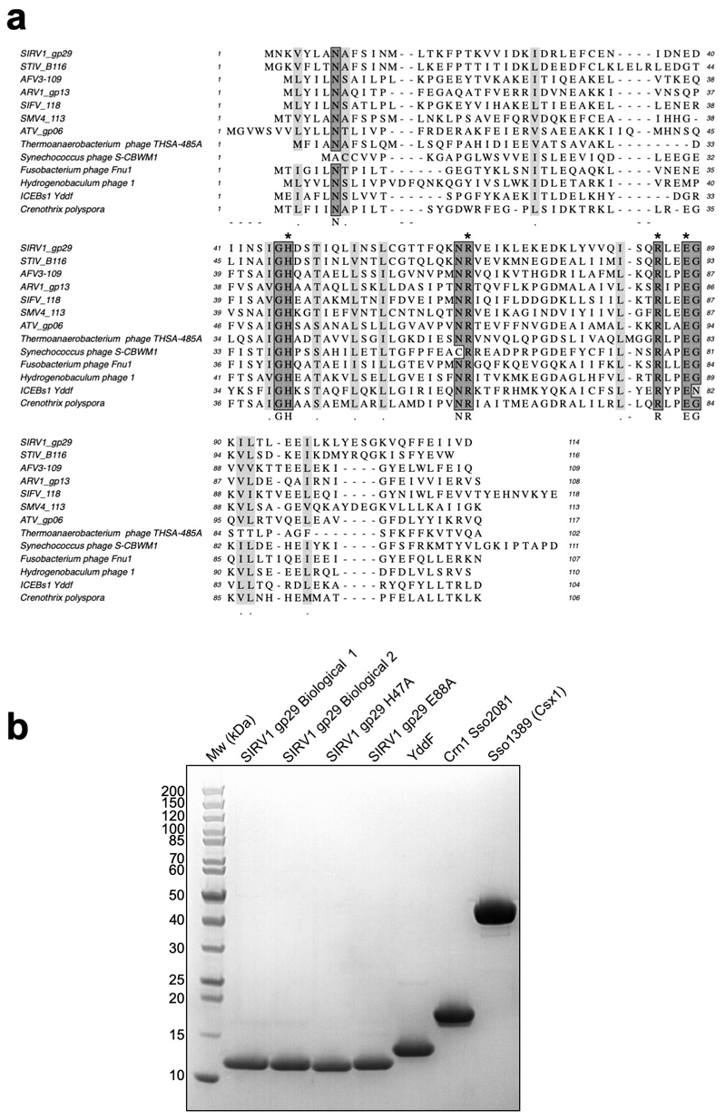 Extended Data Figure 1