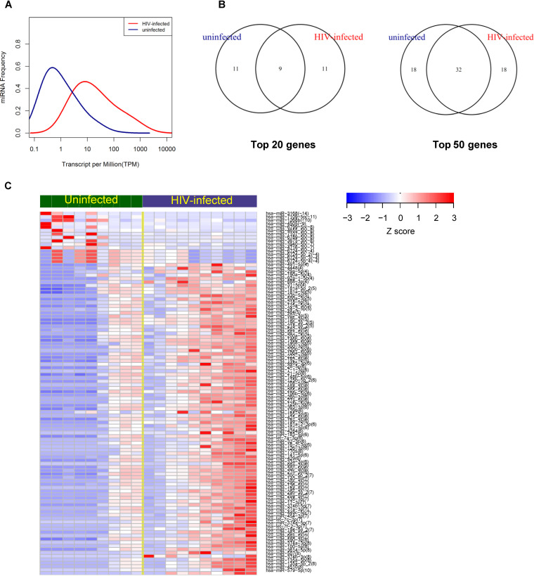 FIG 8