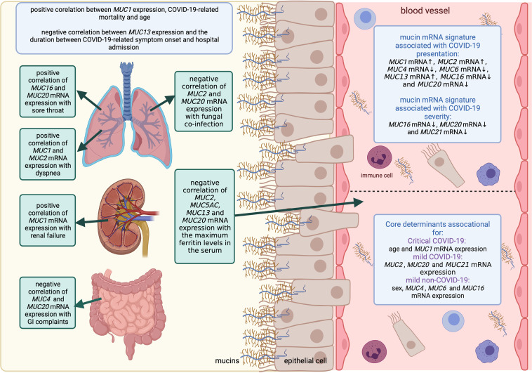 graphic file with name jciinsight-6-151777-g083.jpg