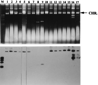 FIG. 5