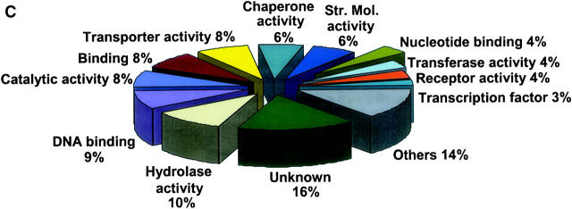 Figure 1.—