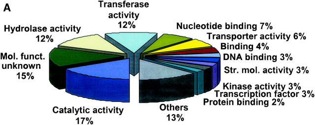 Figure 1.—