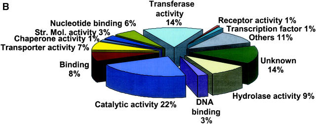 Figure 1.—