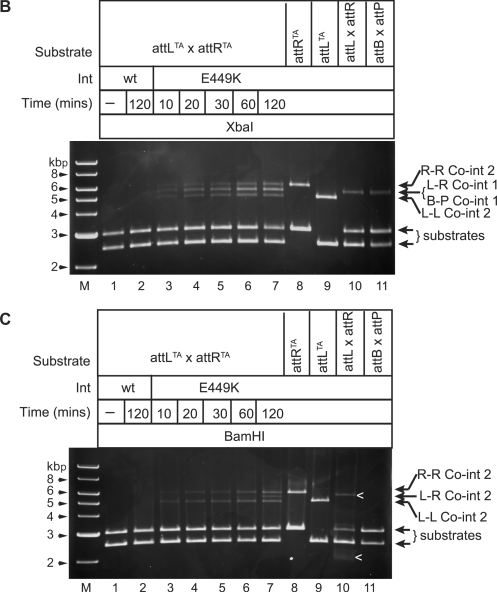 Figure 5.