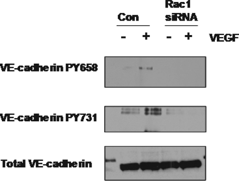 FIGURE 9.