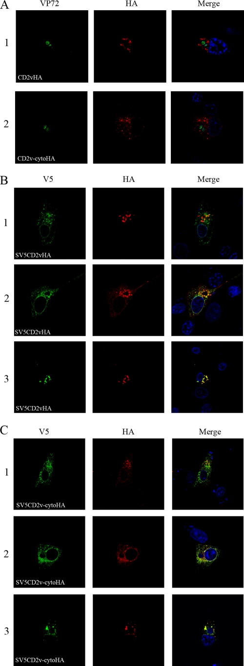 FIG. 4.