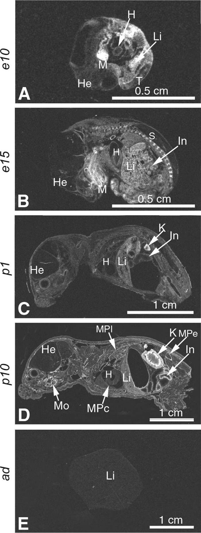 FIGURE 14.