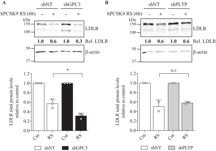 FIGURE 12.