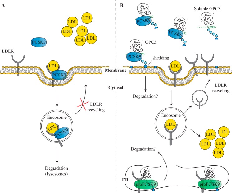 FIGURE 15.