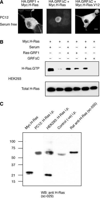 Figure 6.