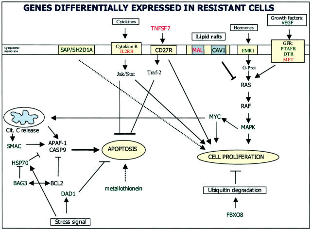 Figure 7.