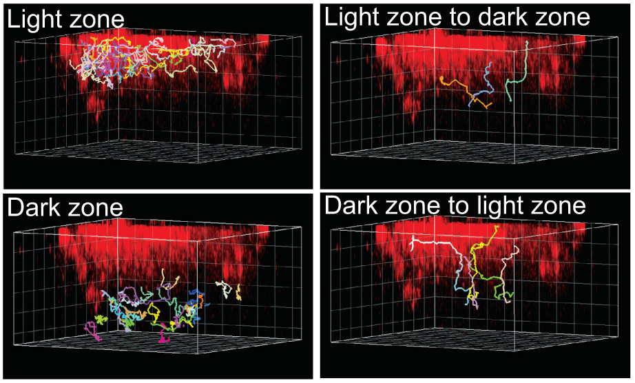 Figure 2.