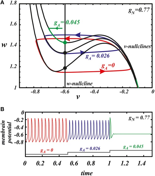 Figure 5