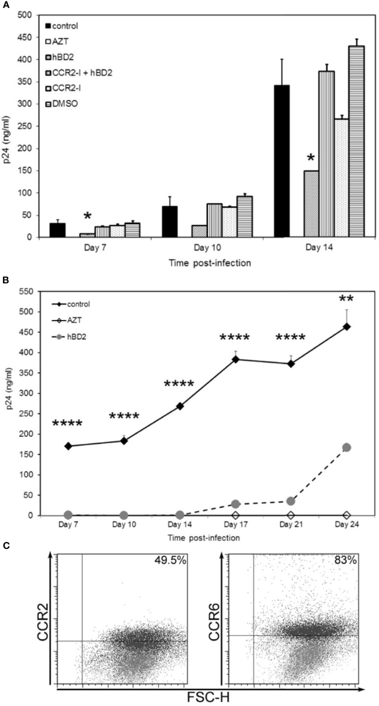 Figure 6