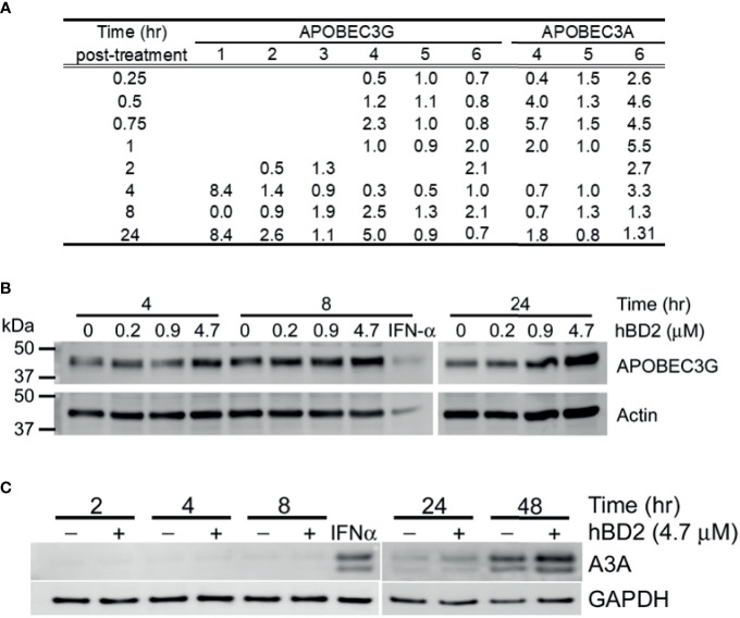 Figure 7