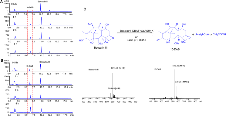 Figure 5