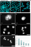 Fig. S1.