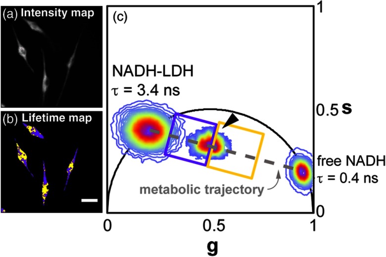 Fig. 2