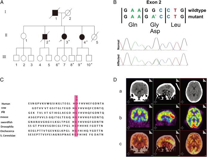 Figure 1