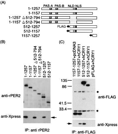 FIG. 5