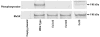 Fig 10