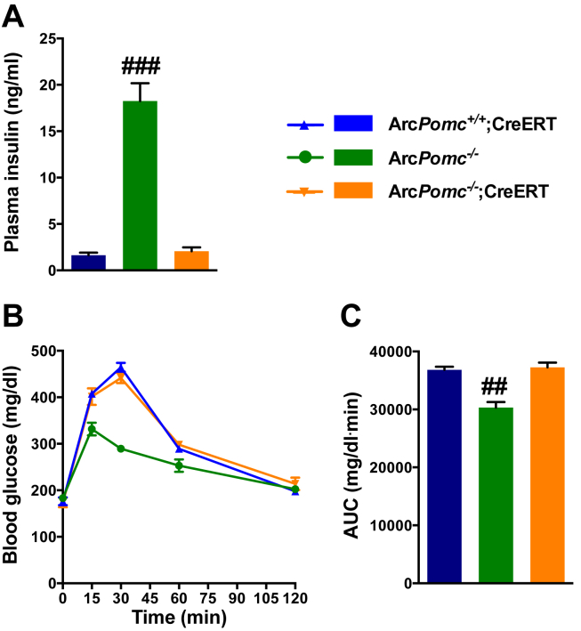 Figure 7