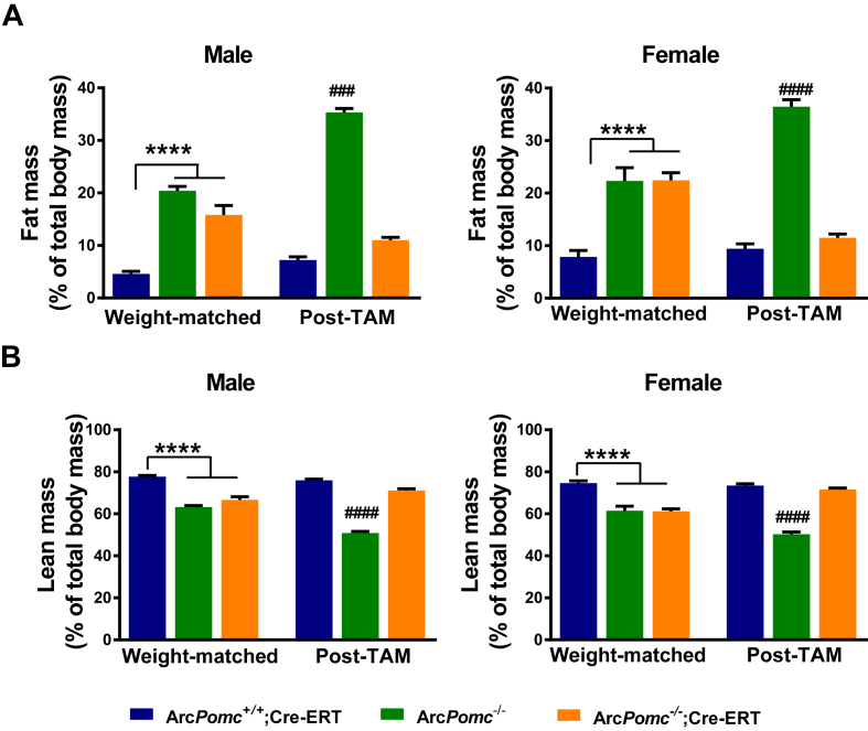 Figure 6