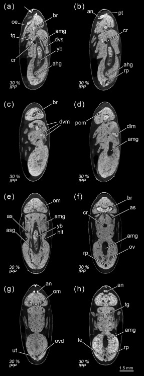 Figure 10