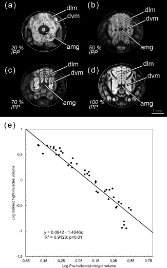 Figure 13