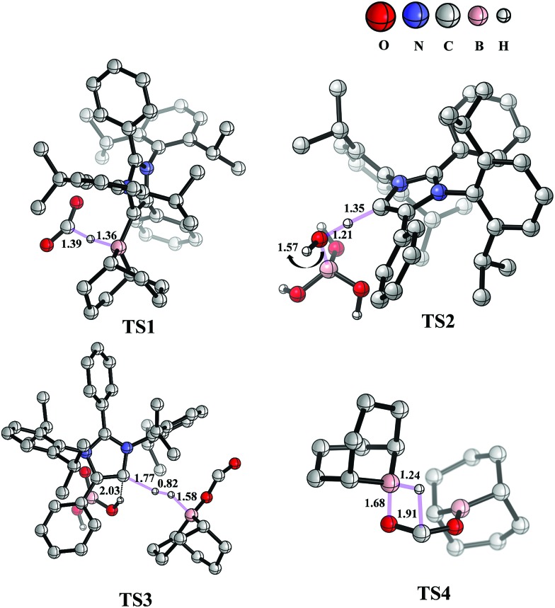 Fig. 8