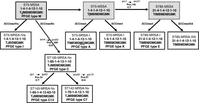 FIG. 4.