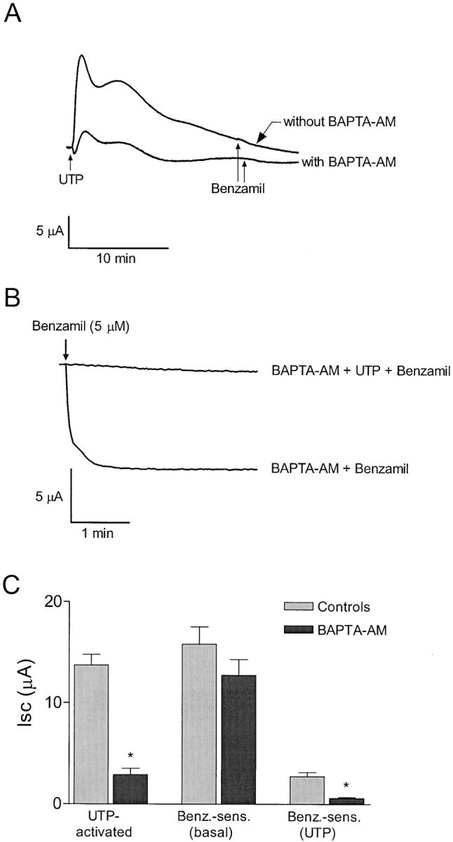 Figure 10. 