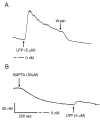 F<sc>igure</sc> 9.