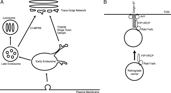 Figure 10.