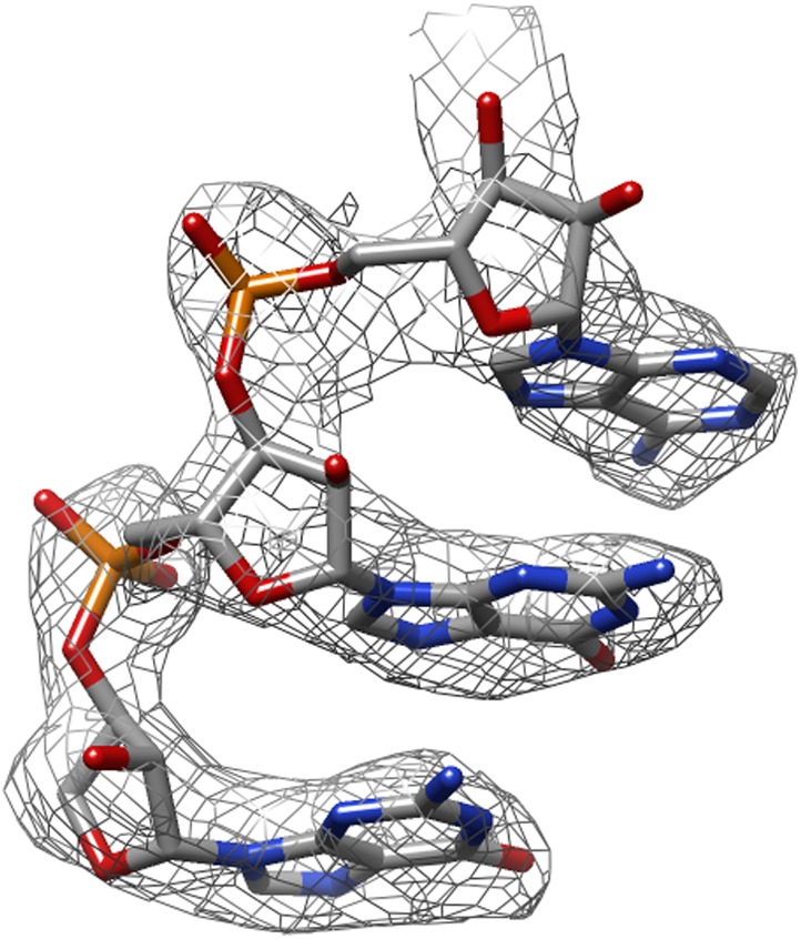 Figure 3—figure supplement 1.