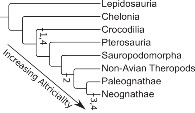 Fig 7