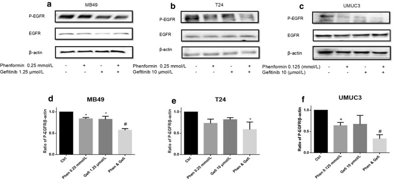 Fig. 11