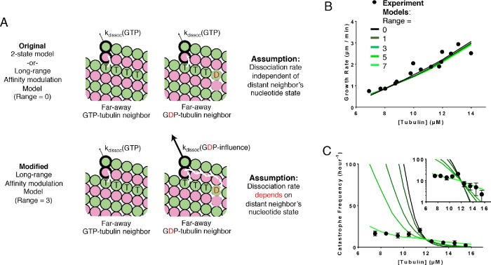 FIGURE 5: