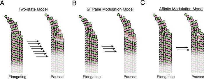 FIGURE 7: