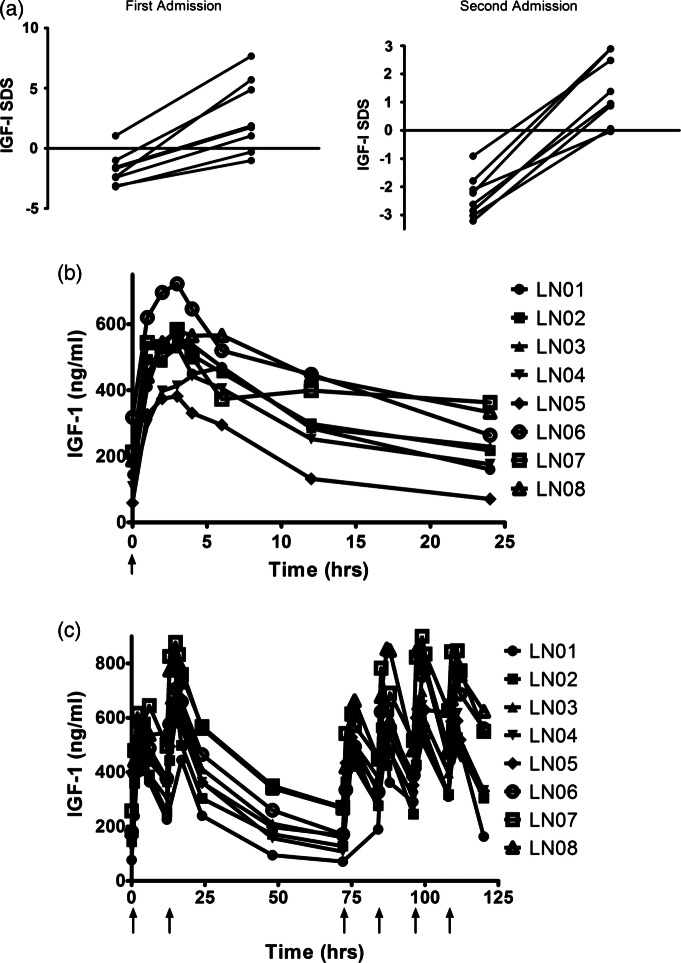 Figure 1