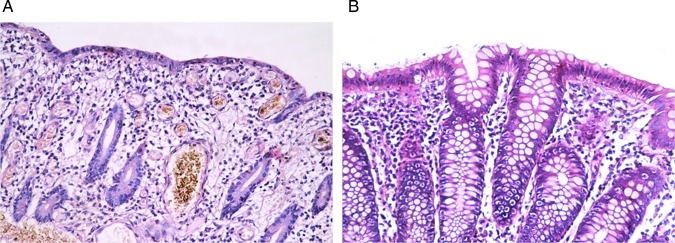 Figure 6